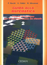 P._Bucchi_Guida alla matematica 2