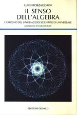Luigi_Borzacchini_Il senso dell'algebra. L'origine del linguaggio scientifico universale
